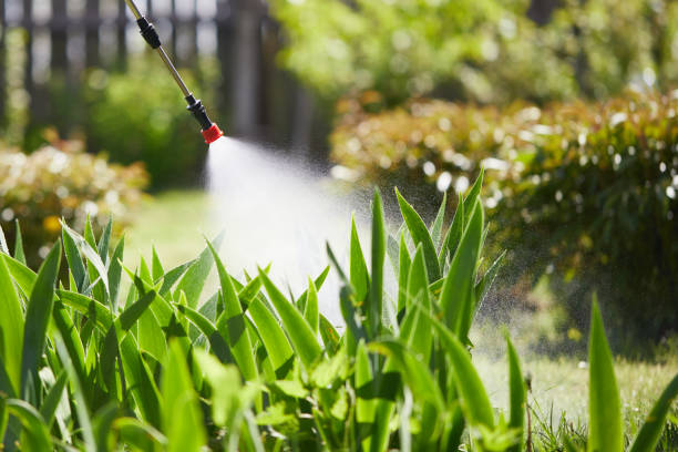 24/7 Emergency Wasp Removal experts in Portola, CA