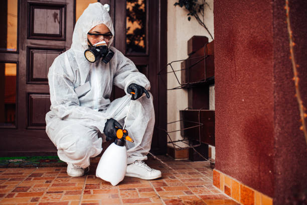 Reliable Wasp Removal contractor in Portola, CA by Show Me Pest Control
